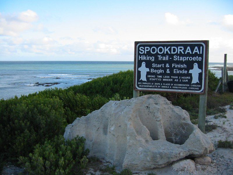 Seagulls Seasong Struisbaai Western Cape South Africa Sign