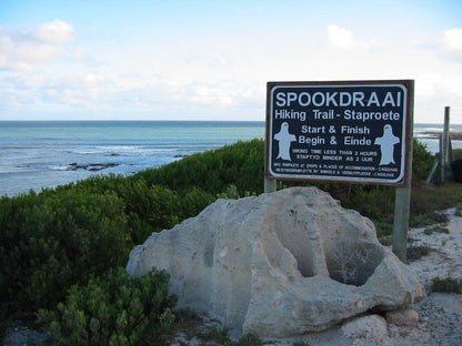 Seagulls Seasong Struisbaai Western Cape South Africa Sign