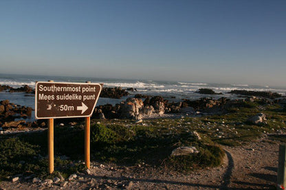 Seagulls Seasong Struisbaai Western Cape South Africa Beach, Nature, Sand, Cliff, Sign