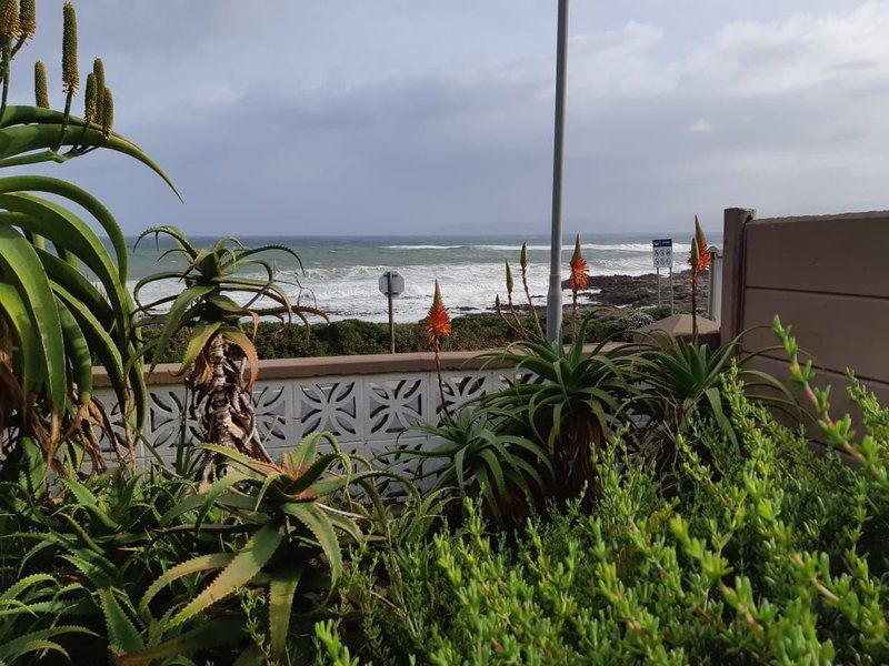 Seakaya Perlemoen Bay Gansbaai Western Cape South Africa Complementary Colors, Beach, Nature, Sand, Palm Tree, Plant, Wood