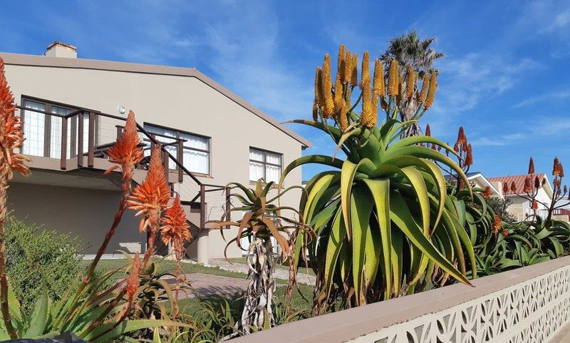 Seakaya Perlemoen Bay Gansbaai Western Cape South Africa Complementary Colors, House, Building, Architecture, Palm Tree, Plant, Nature, Wood