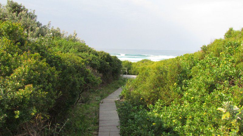 Seal Point Beautiful Beach House Cape St Francis Eastern Cape South Africa Beach, Nature, Sand