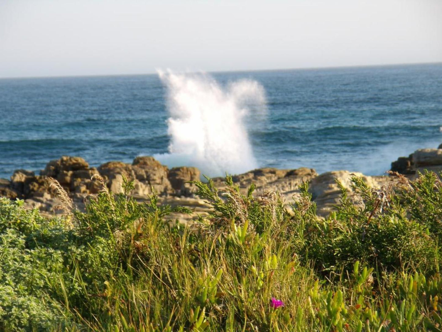 Seal S Backpackers Cape St Francis Eastern Cape South Africa Beach, Nature, Sand, Cliff