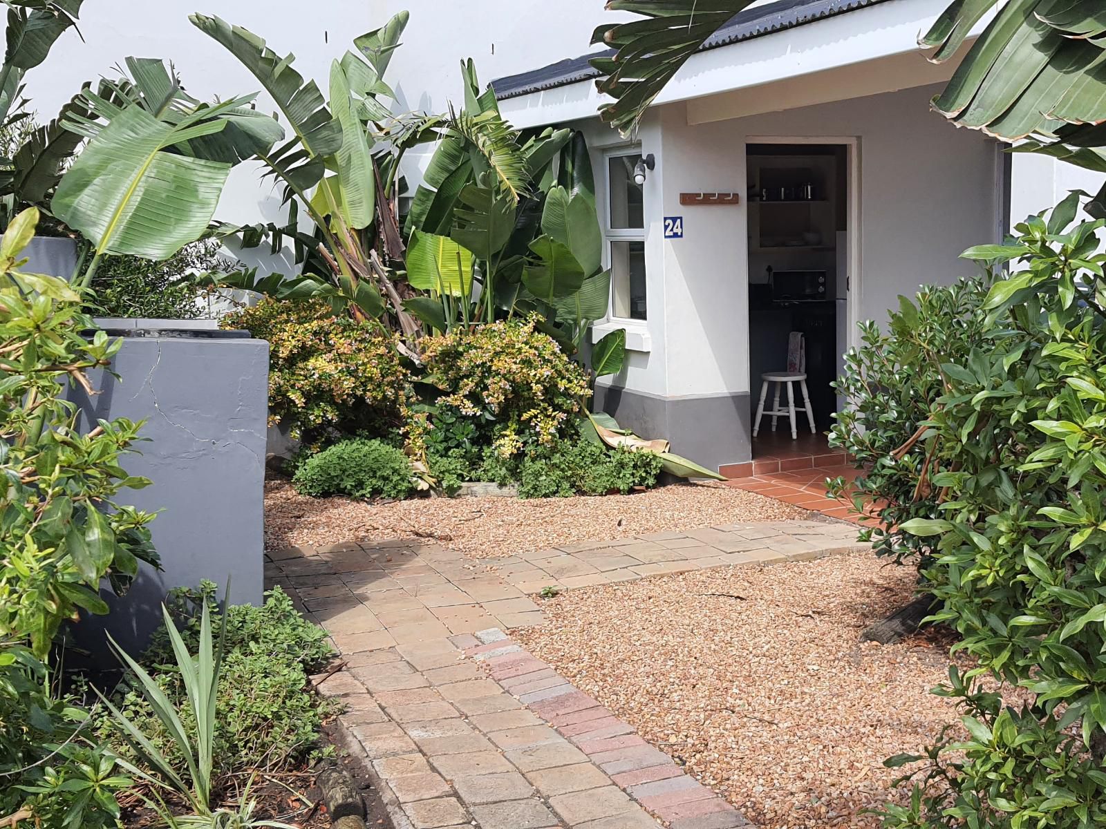 Seal S Backpackers Cape St Francis Eastern Cape South Africa House, Building, Architecture, Palm Tree, Plant, Nature, Wood, Garden