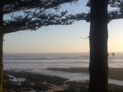 Sea Otters Lodge Kini Bay Port Elizabeth Eastern Cape South Africa Beach, Nature, Sand, Ocean, Waters