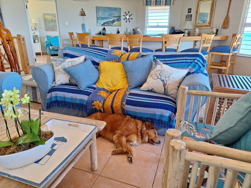 Seascape Guest Villa Salt Rock Ballito Kwazulu Natal South Africa Complementary Colors, Living Room