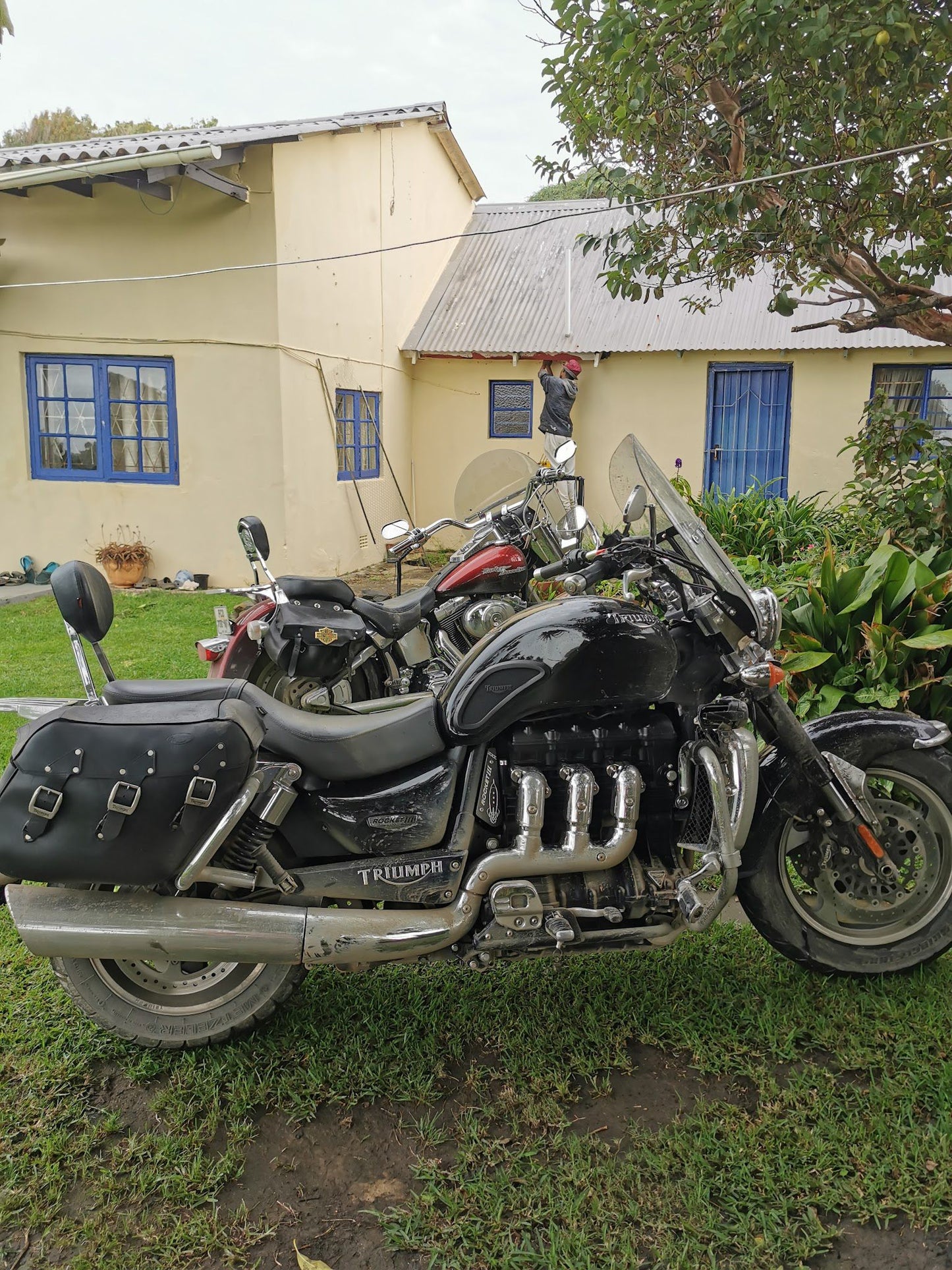 Seashells Guest House Coffee Bay Eastern Cape South Africa Motorcycle, Vehicle