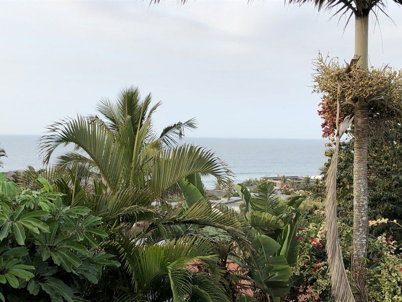 Seaside Lodge Salt Rock Ballito Kwazulu Natal South Africa Beach, Nature, Sand, Palm Tree, Plant, Wood