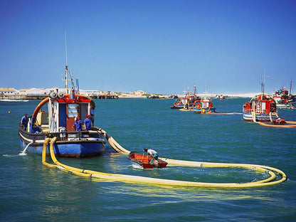 Seaside Self Catering Mcdougall S Bay Port Nolloth Northern Cape South Africa Beach, Nature, Sand, Ocean, Waters