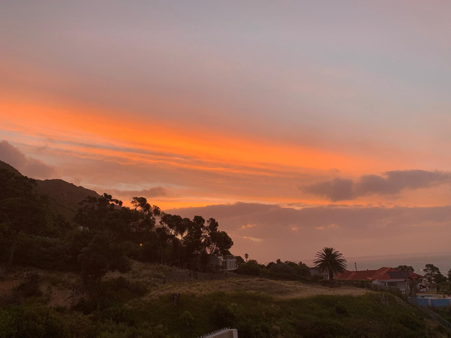 Seaview Sunset Boutique Apartments Gordons Bay Western Cape South Africa Palm Tree, Plant, Nature, Wood, Sky, Sunset