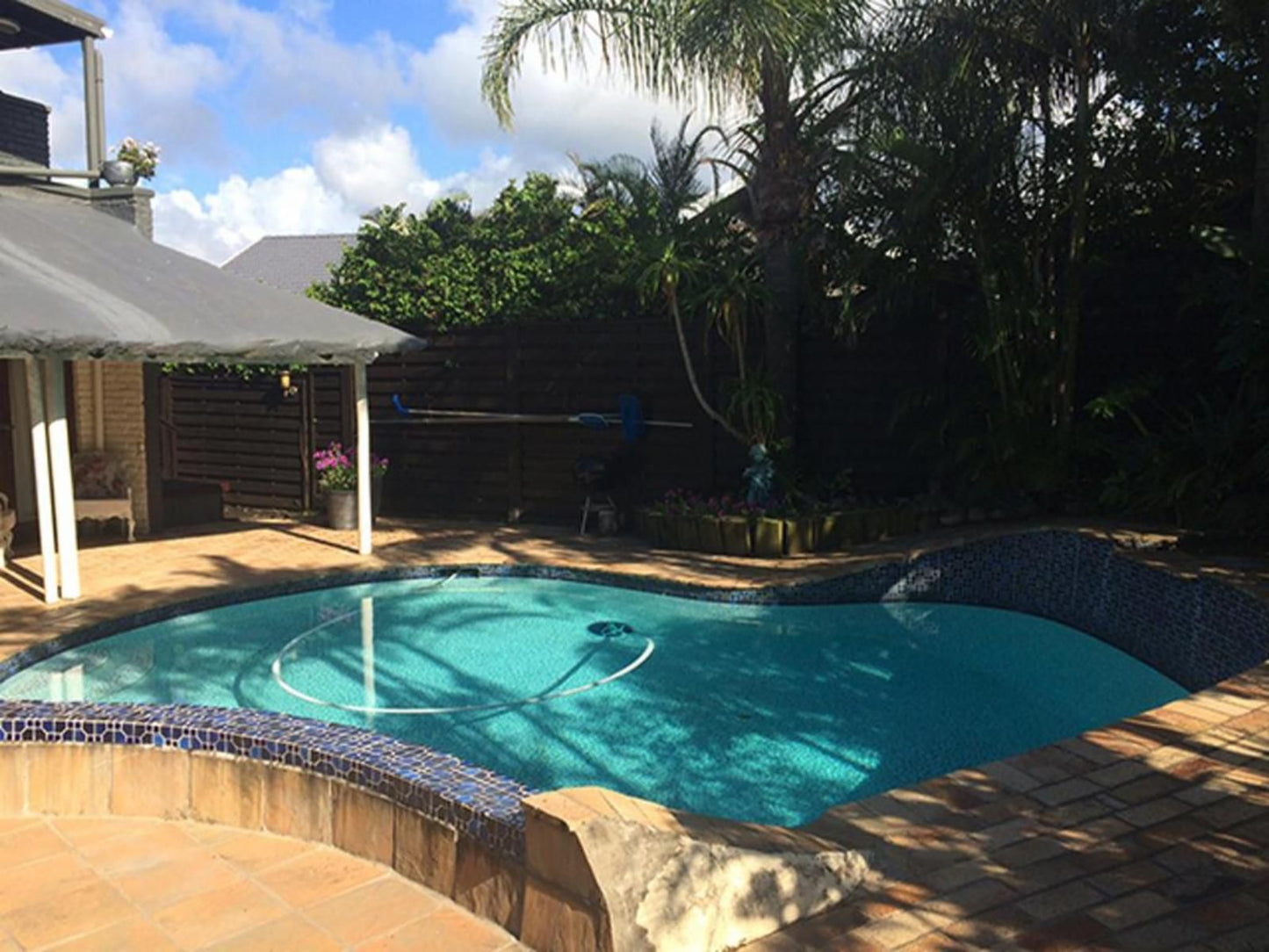 Seaview Place Bed And Breakfast Beacon Bay East London Eastern Cape South Africa Palm Tree, Plant, Nature, Wood, Swimming Pool