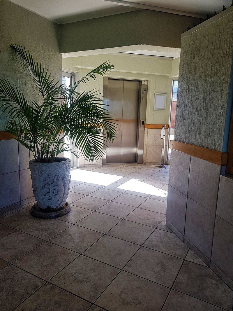 Sea View Zeezicht Bloubergstrand Blouberg Western Cape South Africa Palm Tree, Plant, Nature, Wood, Hallway