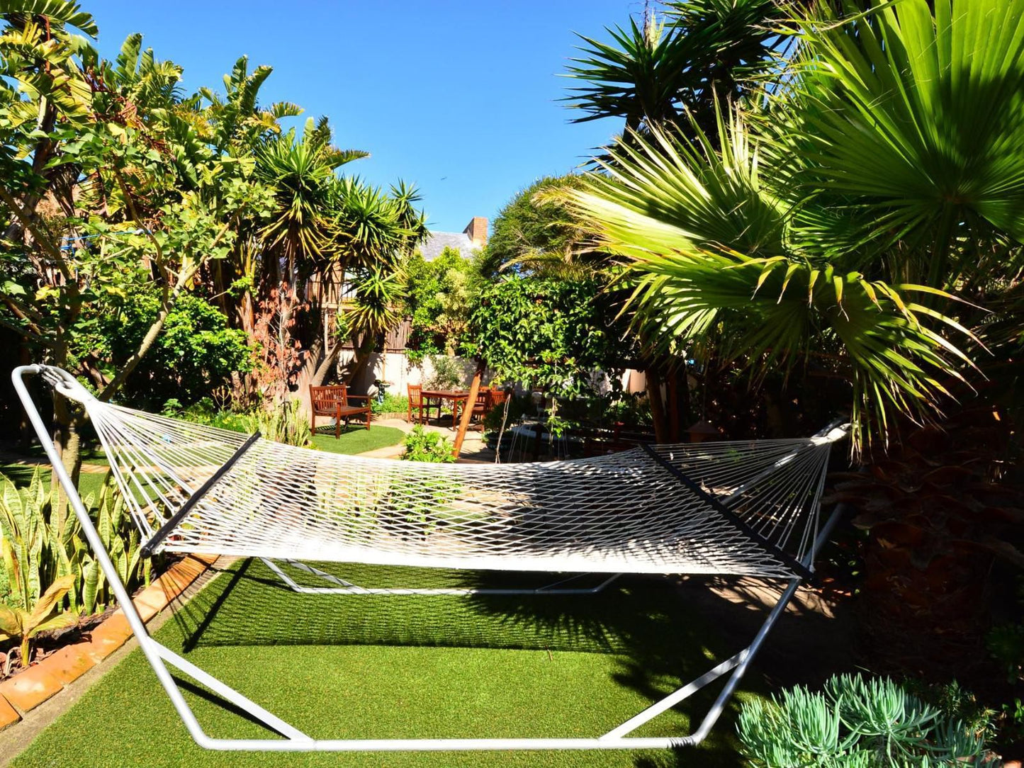 Secret Garden Guesthouse Bloubergstrand Blouberg Western Cape South Africa Palm Tree, Plant, Nature, Wood, Garden