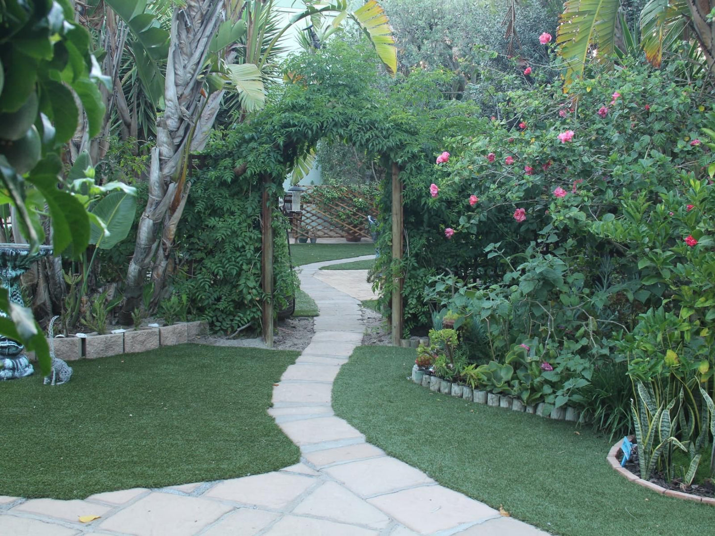 Secret Garden Guesthouse Bloubergstrand Blouberg Western Cape South Africa Palm Tree, Plant, Nature, Wood, Garden