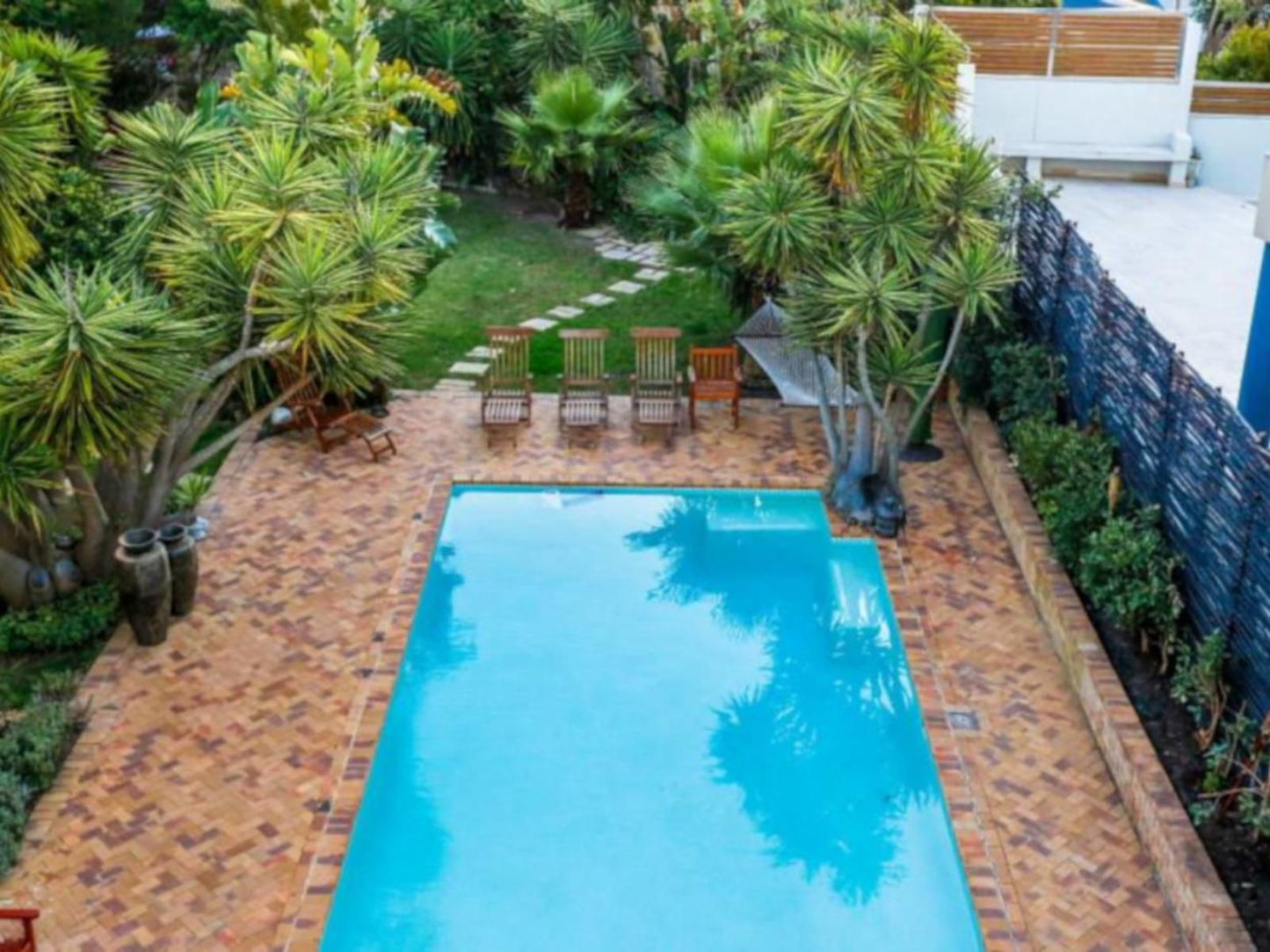 Secret Garden Guesthouse Bloubergstrand Blouberg Western Cape South Africa Complementary Colors, Palm Tree, Plant, Nature, Wood, Garden, Swimming Pool