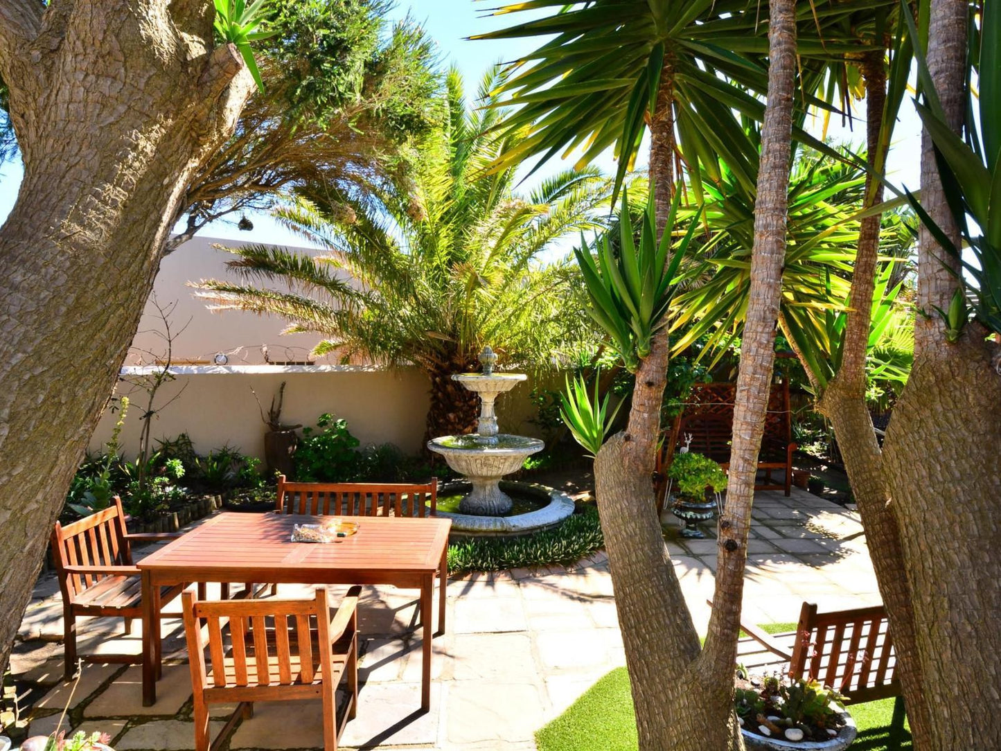 Secret Garden Guesthouse Bloubergstrand Blouberg Western Cape South Africa Palm Tree, Plant, Nature, Wood, Garden