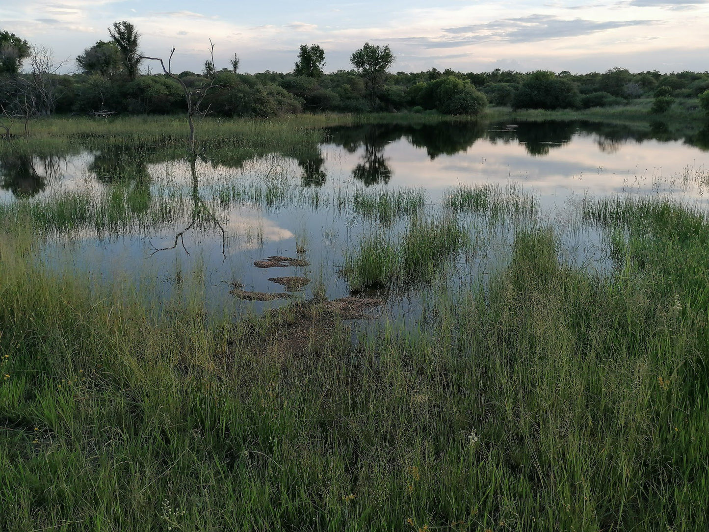 Sediba Lodge Brits North West Province South Africa River, Nature, Waters, Lowland