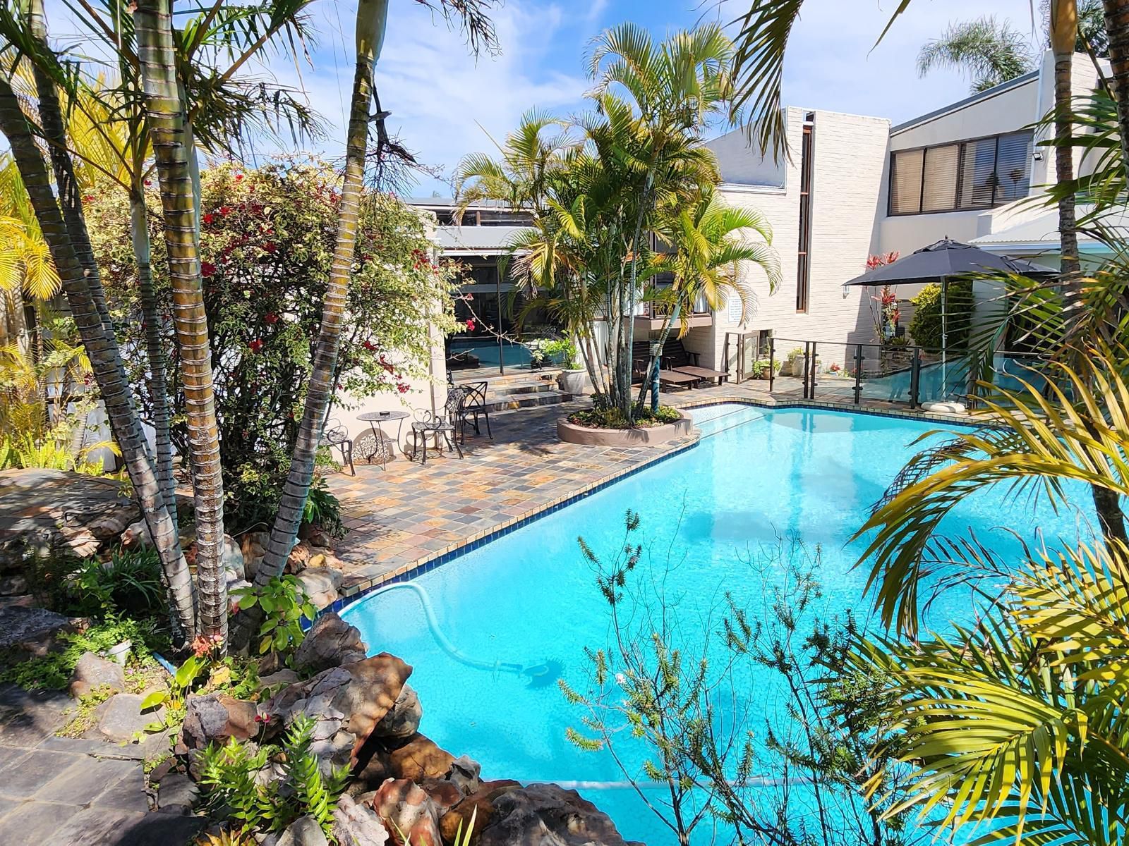 See More Guest House Bunkers Hill East London Eastern Cape South Africa Complementary Colors, Palm Tree, Plant, Nature, Wood, Garden, Swimming Pool