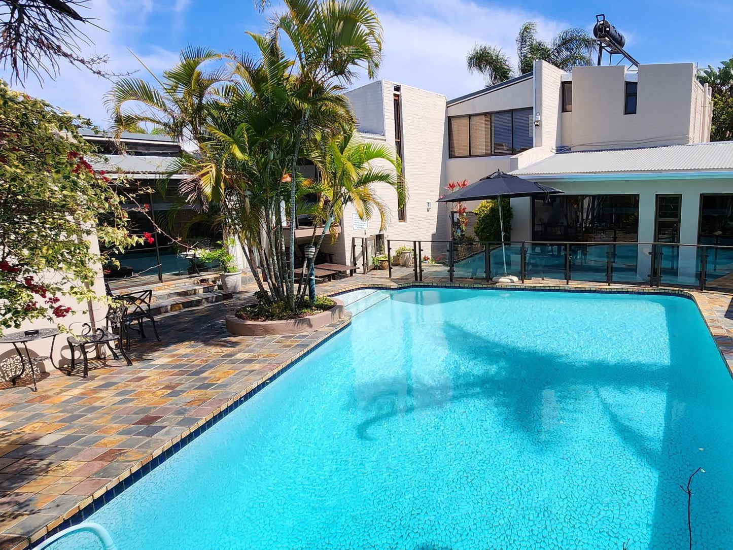 See More Guest House Bunkers Hill East London Eastern Cape South Africa House, Building, Architecture, Palm Tree, Plant, Nature, Wood, Swimming Pool