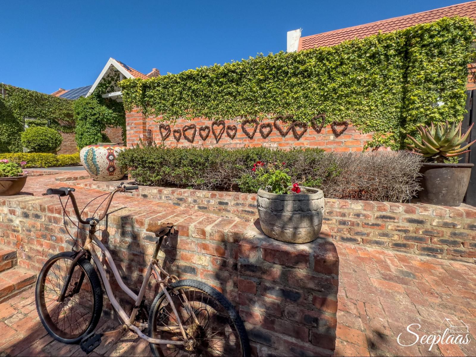 Seeplaas, House, Building, Architecture, Brick Texture, Texture, Bicycle, Vehicle