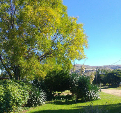 See View House Clarens Free State South Africa Complementary Colors, Plant, Nature, Garden