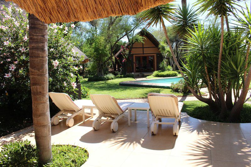 Segodi Game Lodge Lephalale Ellisras Limpopo Province South Africa Palm Tree, Plant, Nature, Wood, Swimming Pool