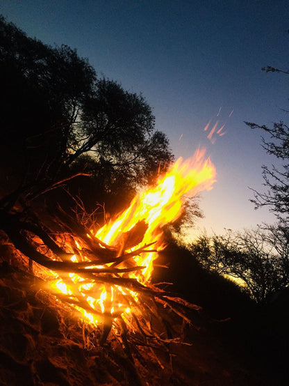 Segodi Game Lodge Lephalale Ellisras Limpopo Province South Africa Fire, Nature