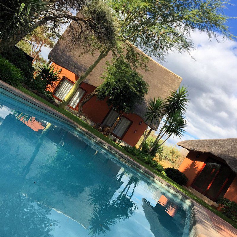 Segodi Game Lodge Lephalale Ellisras Limpopo Province South Africa Complementary Colors, Palm Tree, Plant, Nature, Wood, Swimming Pool