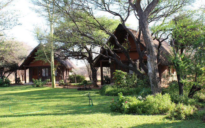 Segodi Game Lodge Lephalale Ellisras Limpopo Province South Africa 