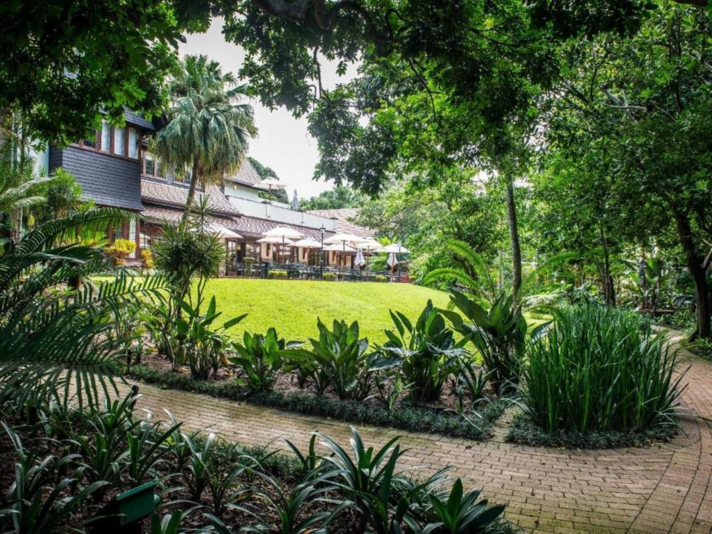 Selborne Golf Estate, Hotel & Spa, House, Building, Architecture, Palm Tree, Plant, Nature, Wood, Garden