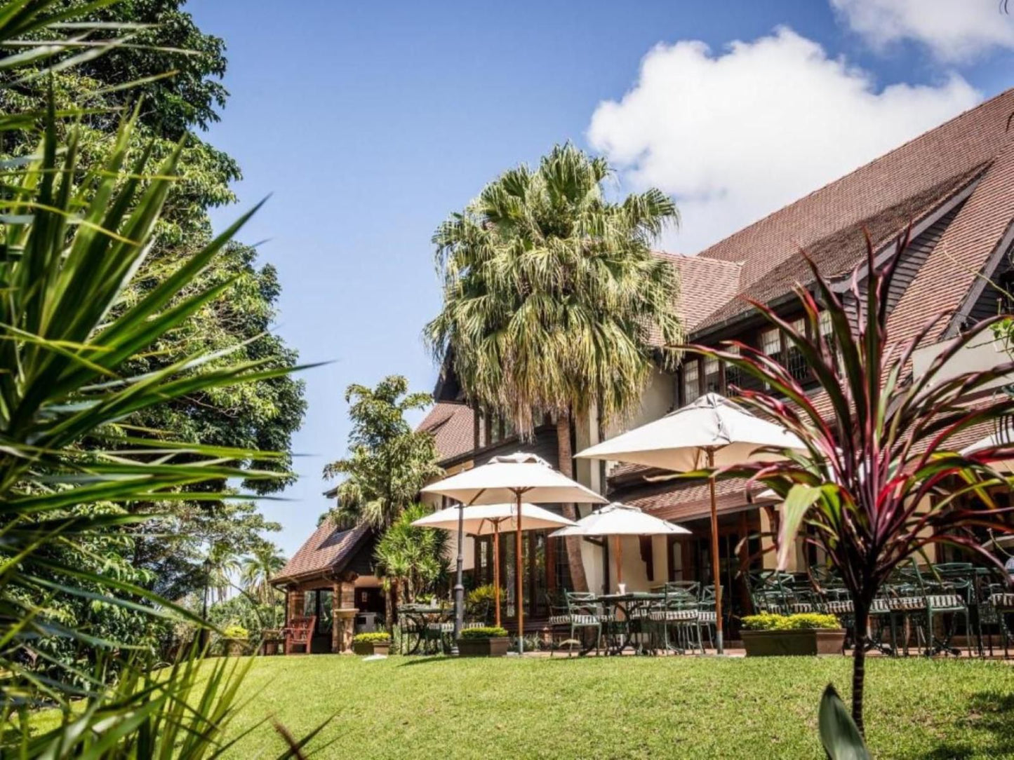 Selborne Golf Estate, Hotel & Spa, Palm Tree, Plant, Nature, Wood