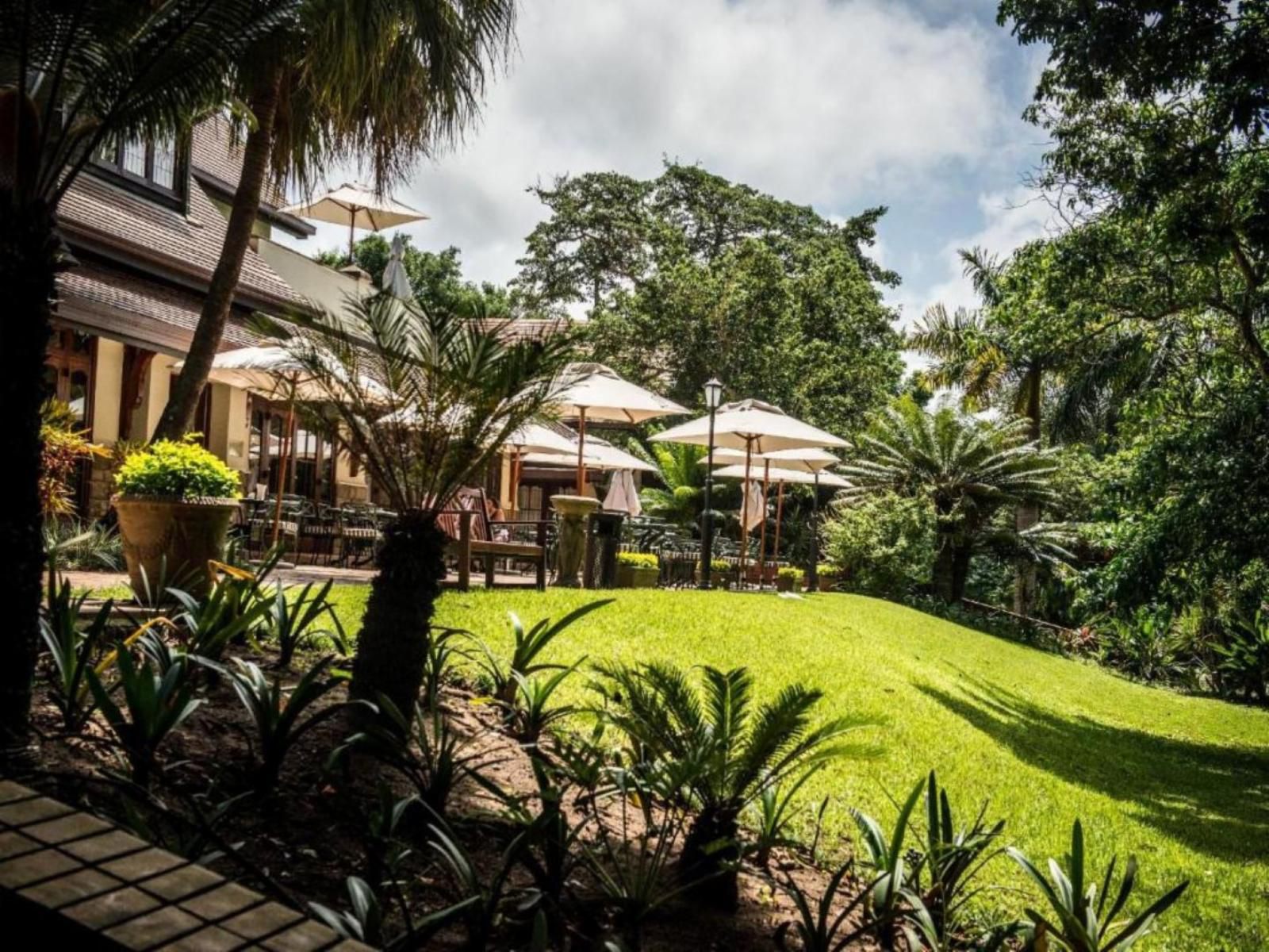 Selborne Golf Estate, Hotel & Spa, House, Building, Architecture, Palm Tree, Plant, Nature, Wood