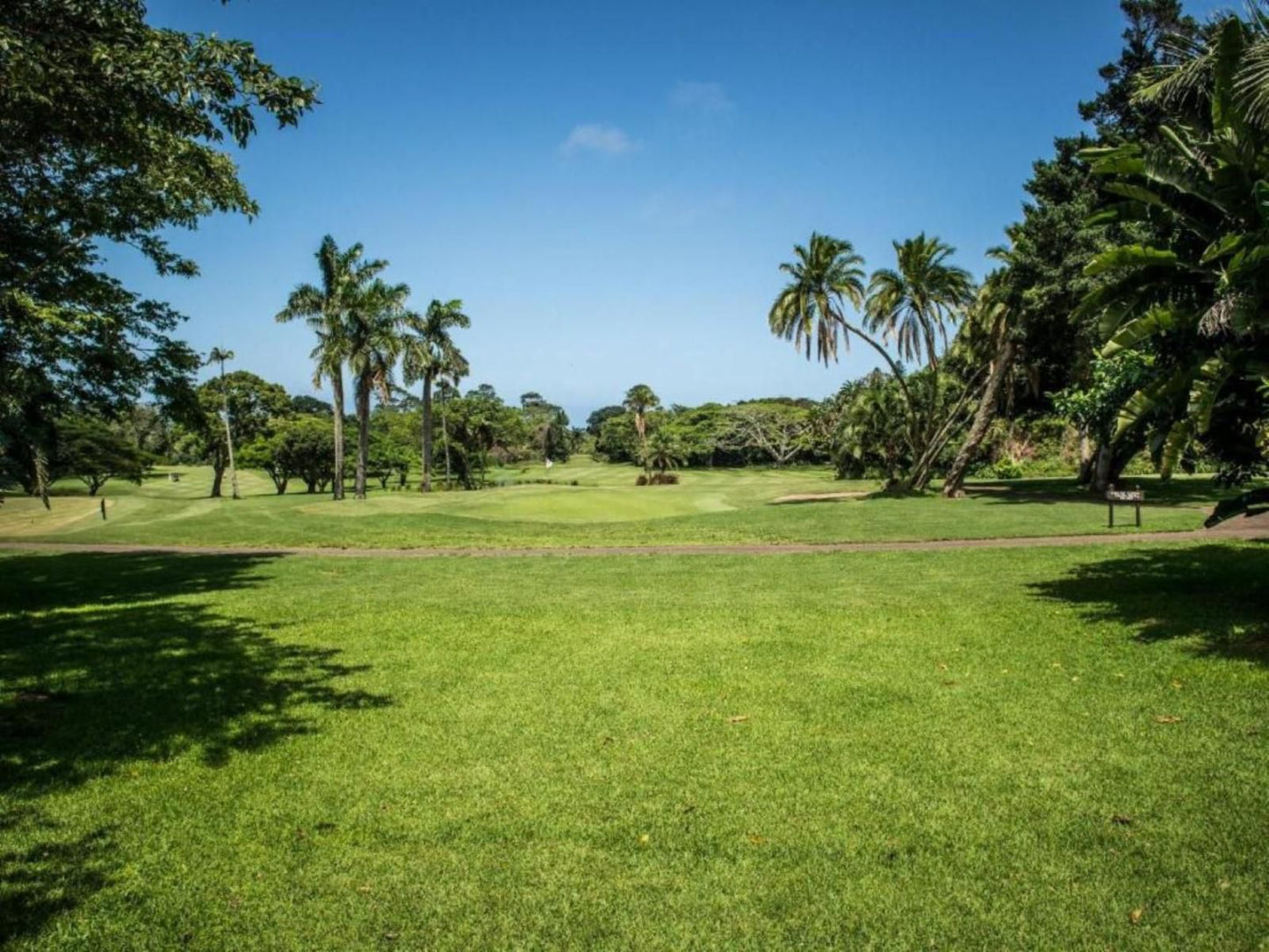 Selborne Golf Estate, Hotel & Spa, Beach, Nature, Sand, Palm Tree, Plant, Wood, Ball Game, Sport, Golfing