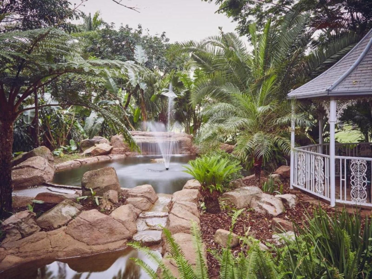 Selborne Golf Estate, Hotel & Spa, Palm Tree, Plant, Nature, Wood, Waterfall, Waters, Garden