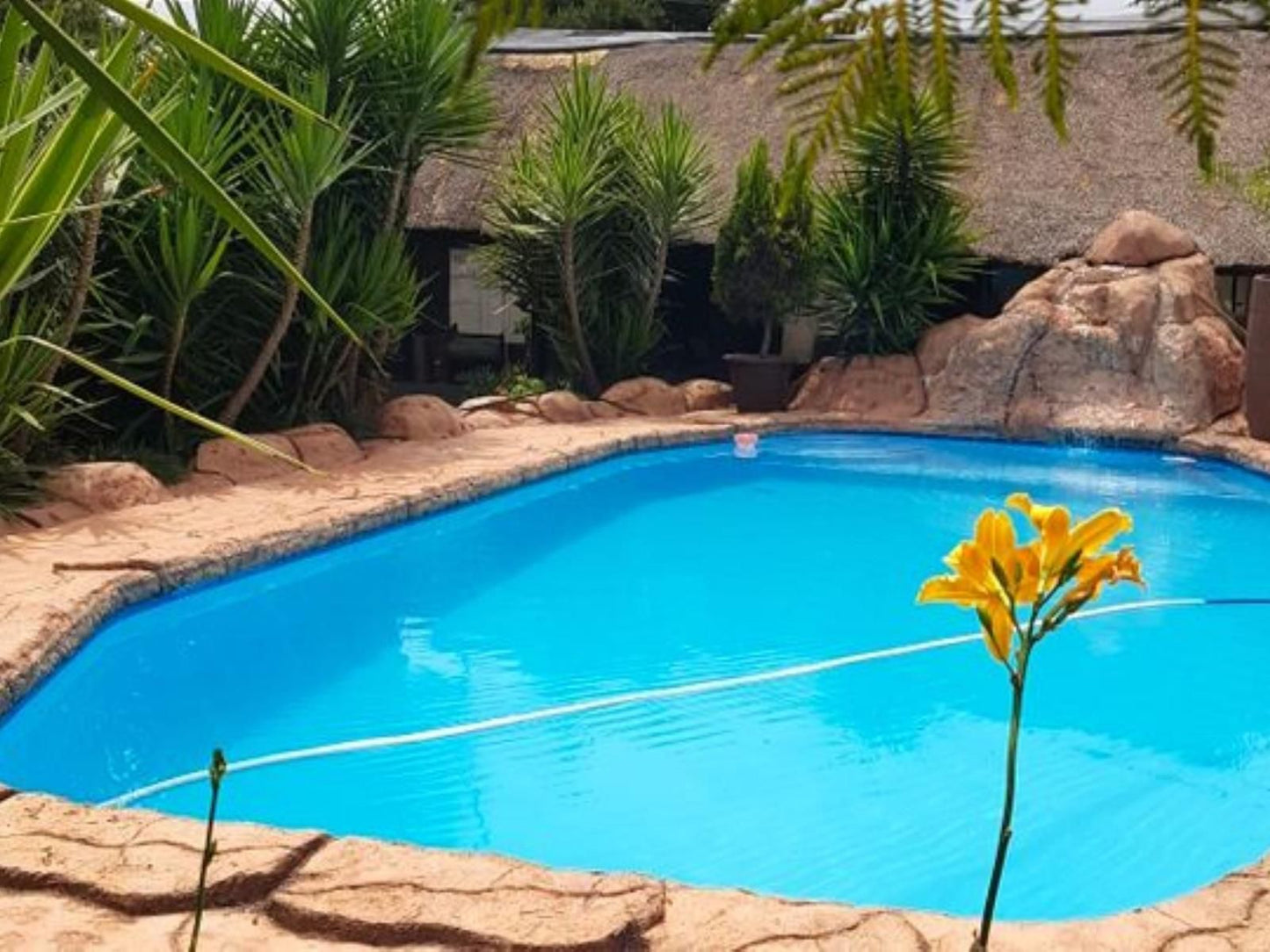 Seldre Guesthouse Nigel Gauteng South Africa Complementary Colors, Garden, Nature, Plant, Swimming Pool