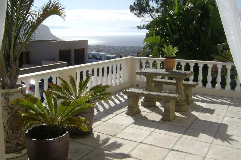 Self Catering Bachelor Pad Fish Hoek Fish Hoek Cape Town Western Cape South Africa Palm Tree, Plant, Nature, Wood