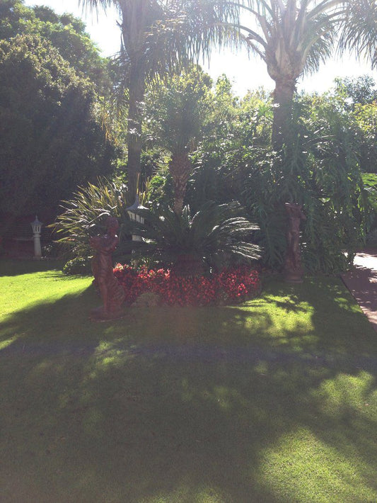 Selma S Place Northcliff Johannesburg Gauteng South Africa Unsaturated, Palm Tree, Plant, Nature, Wood, Garden