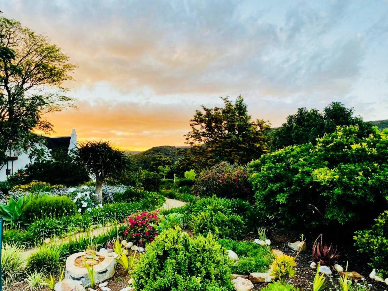 Sempurna Estate Mcgregor Western Cape South Africa Plant, Nature, Garden