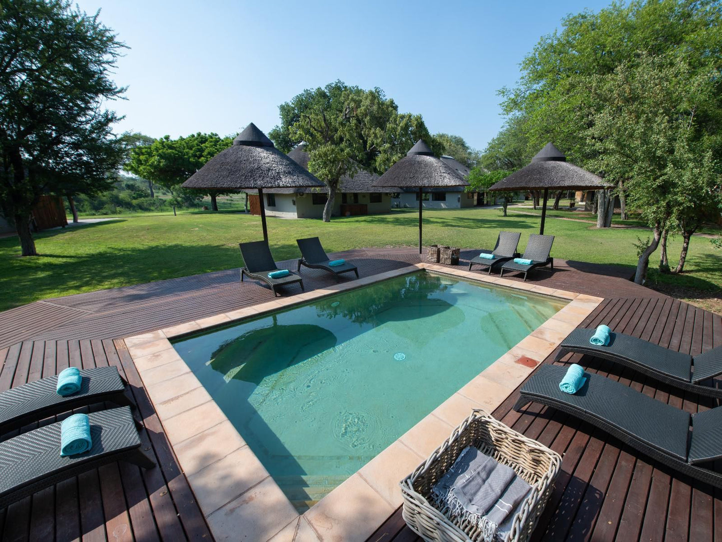 Senalala Safari Lodge, Swimming Pool