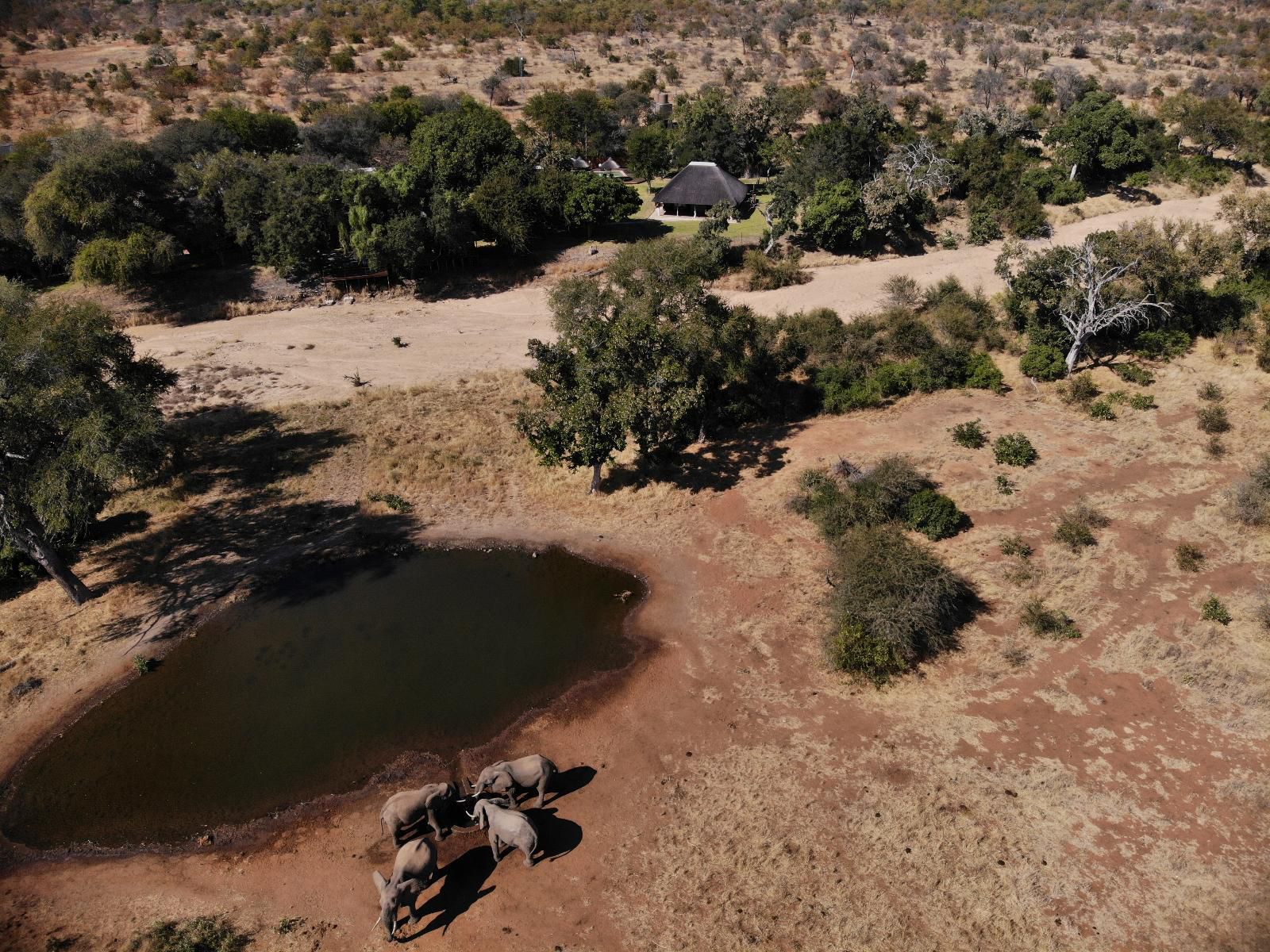 Senalala Safari Lodge, Sky, Nature, Aerial Photography, Cycling, Sport, Bicycle, Vehicle, Desert, Sand