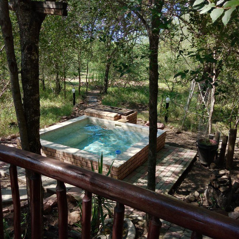 Seneca Marloth Park Mpumalanga South Africa Garden, Nature, Plant, Swimming Pool