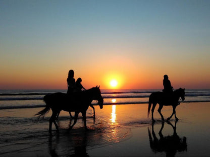 Sensiri Orca Beach Villa, Horse, Mammal, Animal, Herbivore, Beach, Nature, Sand, Silhouette, Sunset, Sky, Person