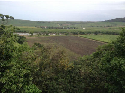 Serendipity Country House Winklespruit Kingsburgh Kwazulu Natal South Africa Field, Nature, Agriculture, Tree, Plant, Wood