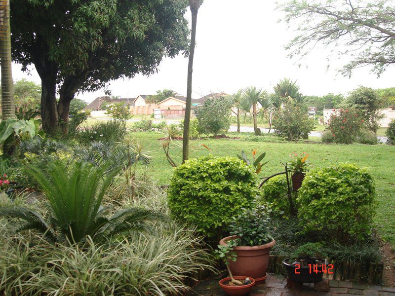 Serendipity 1 Guest House Richards Bay Kwazulu Natal South Africa Palm Tree, Plant, Nature, Wood, Garden