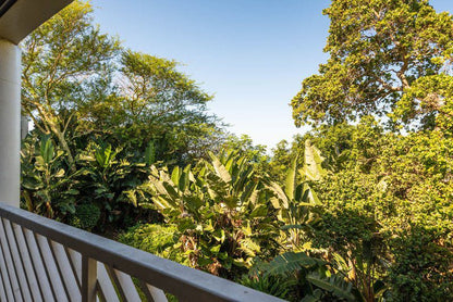 Serene Beach Break Away Shakas Rock Ballito Kwazulu Natal South Africa Plant, Nature, Tree, Wood, Garden