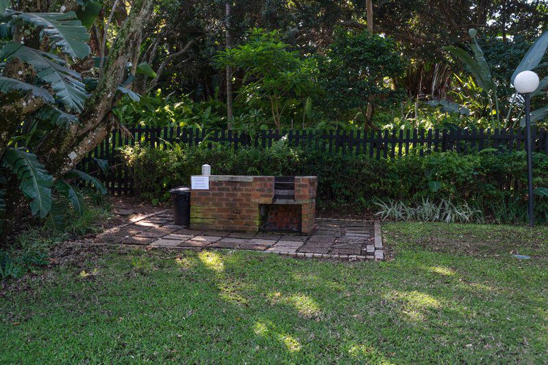 Serene Beach Break Away Shakas Rock Ballito Kwazulu Natal South Africa Palm Tree, Plant, Nature, Wood, Cemetery, Religion, Grave, Garden