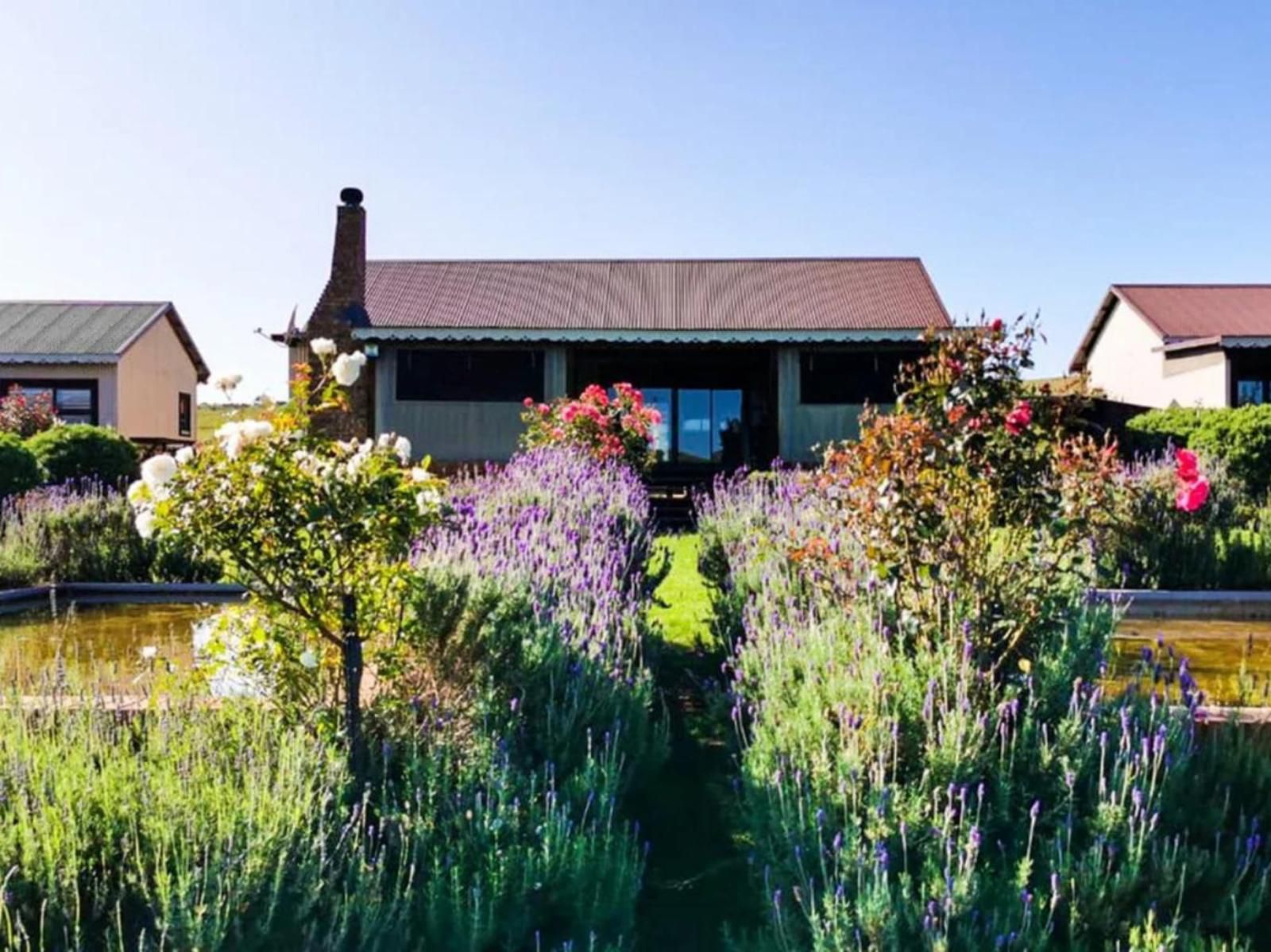 Serengeti Dullstroom Mpumalanga South Africa Complementary Colors, House, Building, Architecture, Plant, Nature, Garden