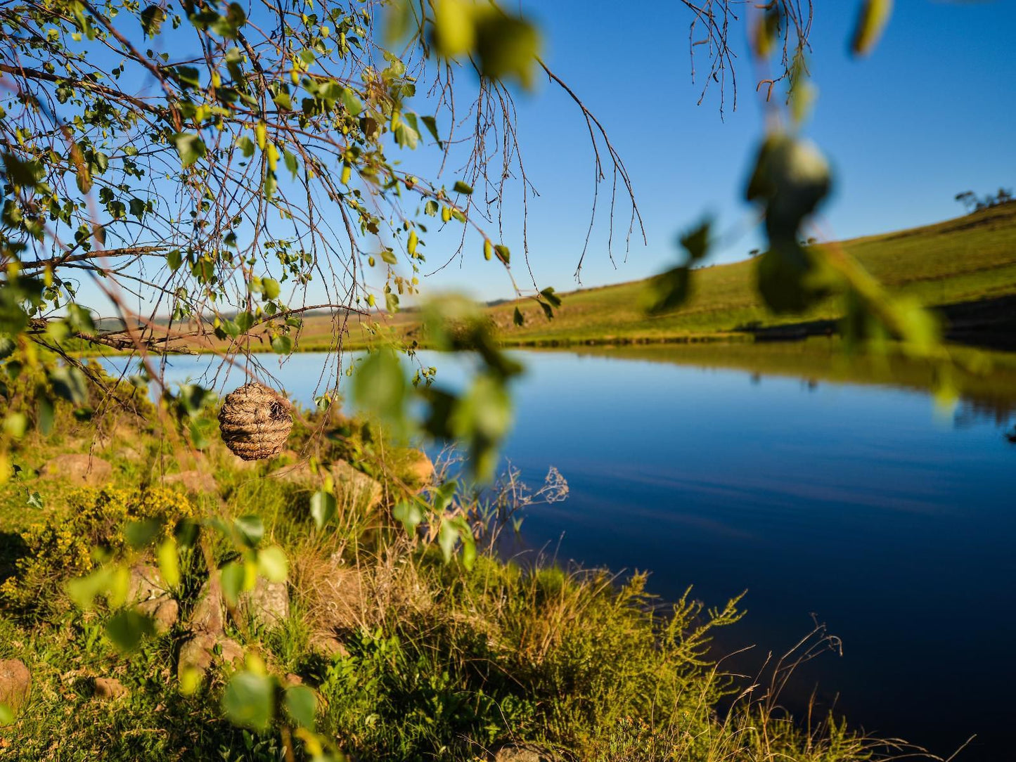 Serengeti Dullstroom Mpumalanga South Africa Complementary Colors, River, Nature, Waters