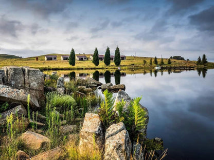 Serengeti Dullstroom Mpumalanga South Africa Nature