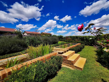 Serengeti Dullstroom Mpumalanga South Africa Complementary Colors, Garden, Nature, Plant